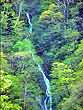 層雲峡・白蛇の滝