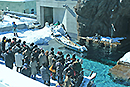 旭山動物園103