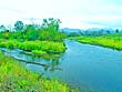 牛朱別川と米飯川の合流部