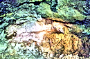 手宮洞窟保存館