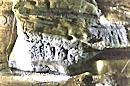 フゴッペ洞窟
