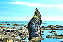 タヌキ岩